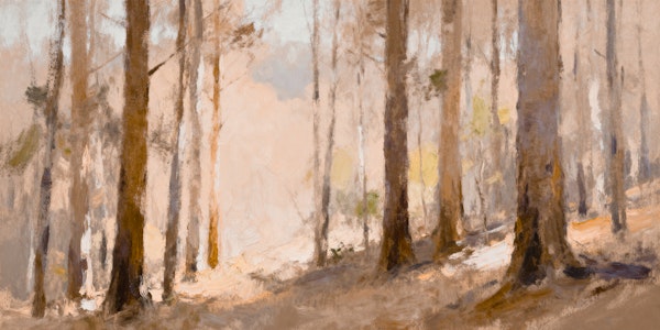 Dreamy Morning Forest