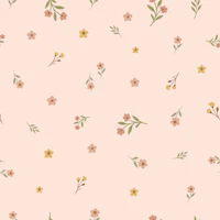 Blush Meadow Ditsy Florals tapete