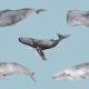 Ocean Giants Pattern S