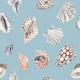 Nautical Shell Pattern S