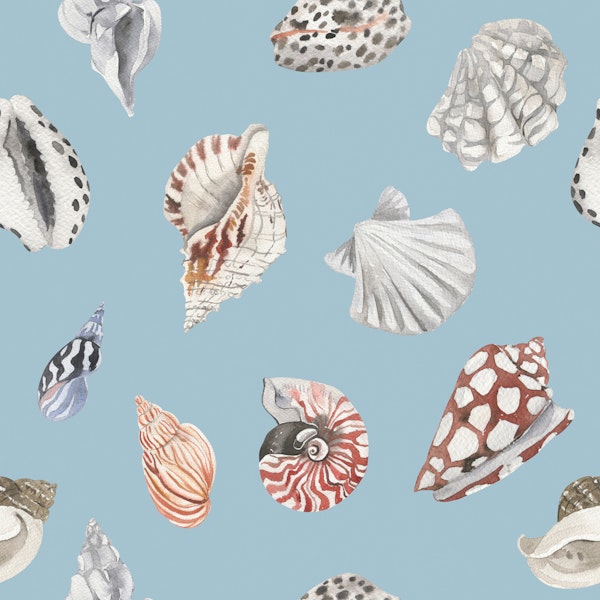 Nautical Shell Pattern S