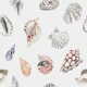 Coastal Shells Pattern S