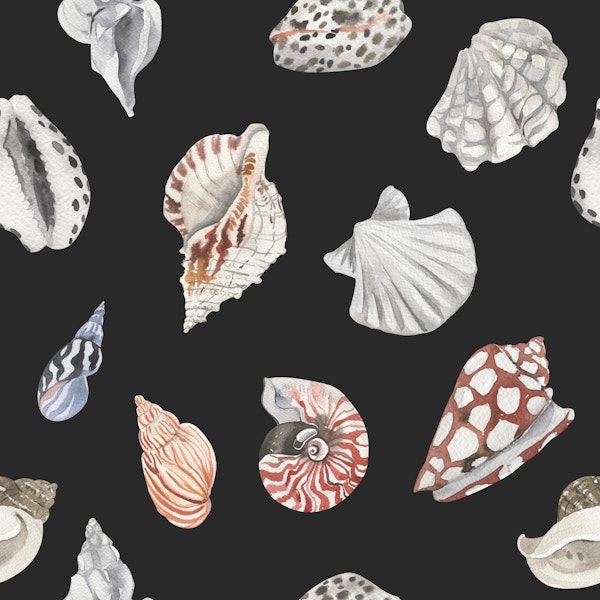 Elegant Seashell Pattern S