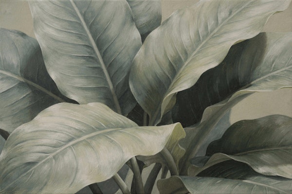 Sage Banana Leaf Canopy