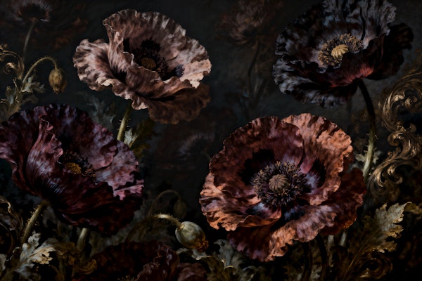 Midnight Poppies Dark Floral