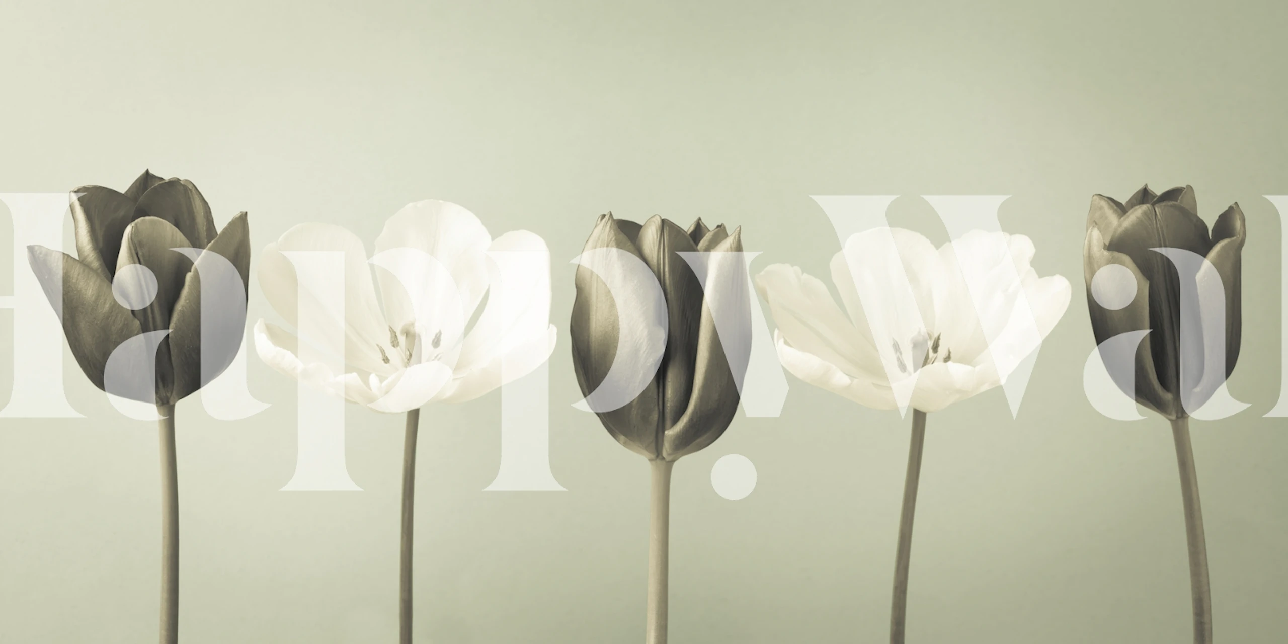 Tulips White wallpaper displayed in a room