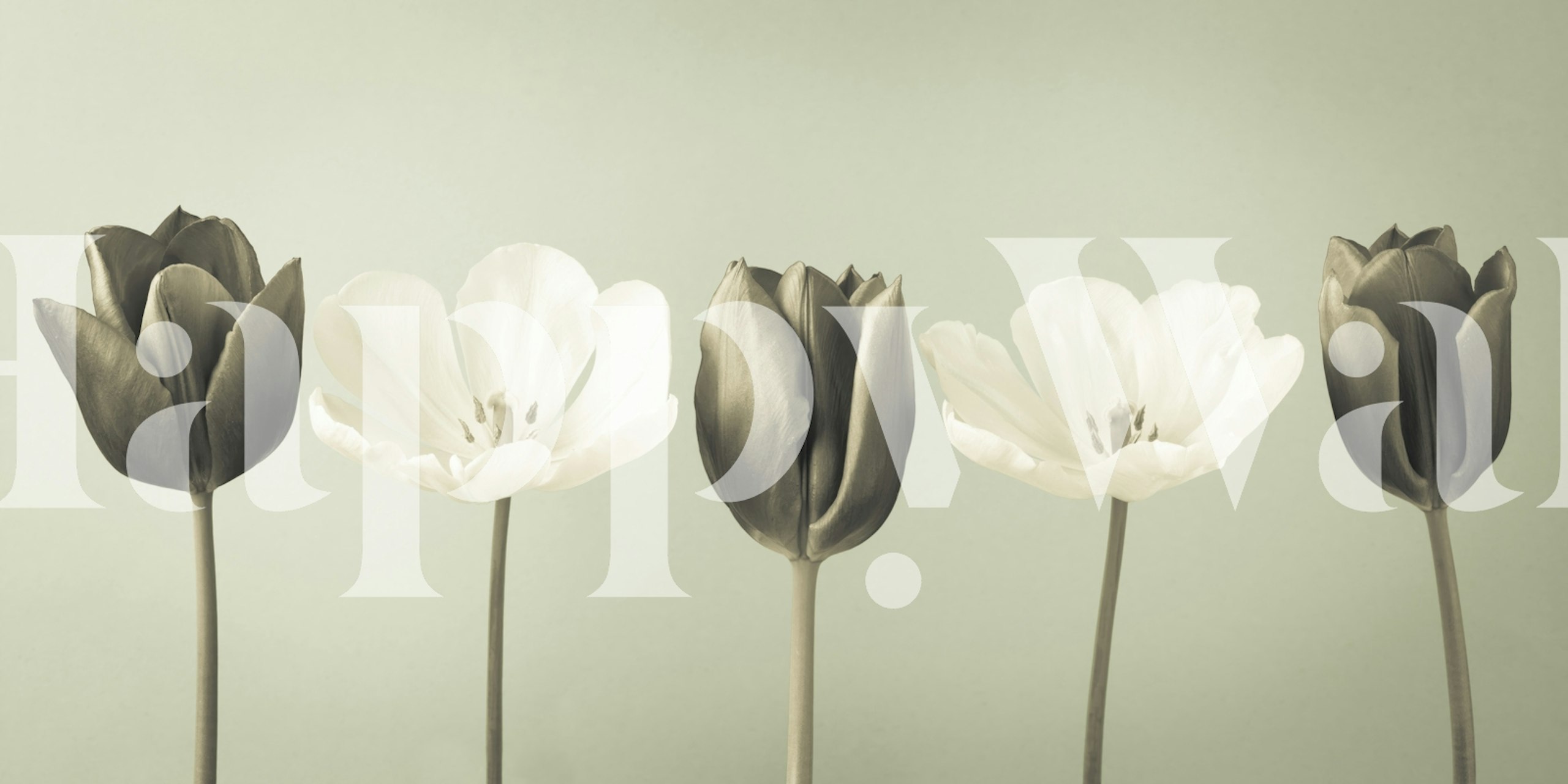 Tulips White wallpaper displayed in a room