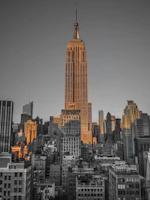 Gotham Gold wallpaper