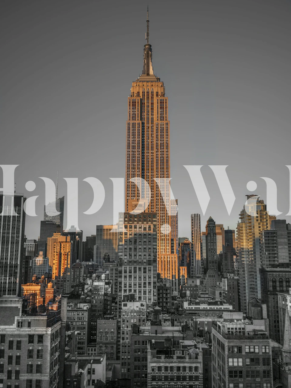 Carta da parati Gotham Gold in una stanza elegante