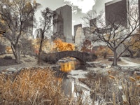 Autumn Park Bridge City Skyline wallpaper