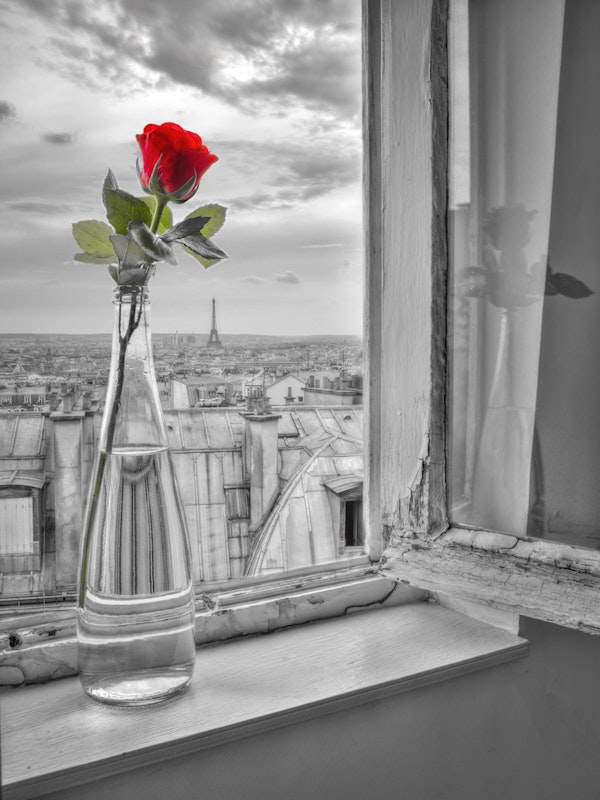 Romantic Paris Rose In Vase