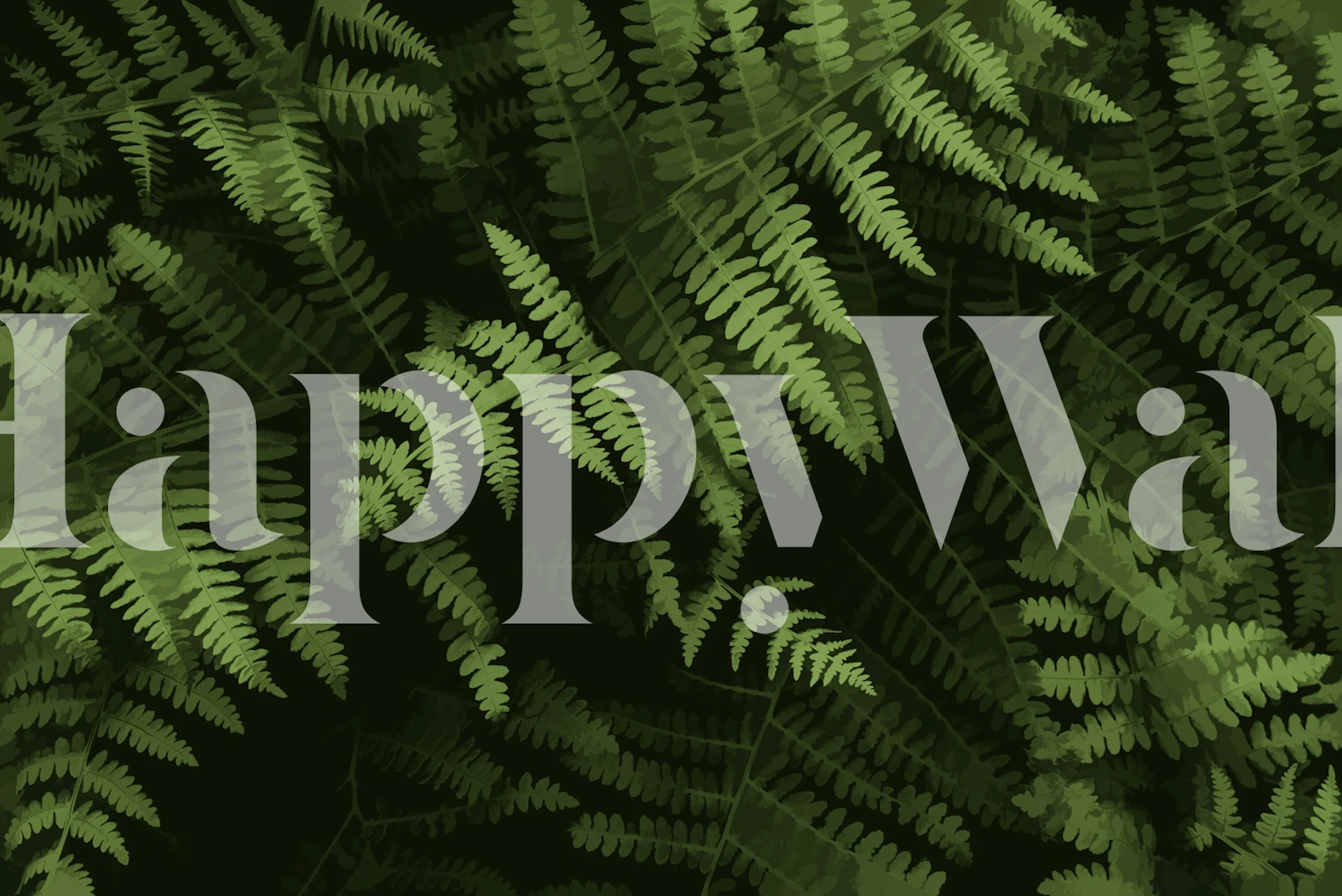 Návrh tapety Lush Green Fern Background