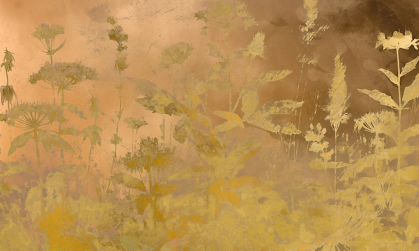 Golden Meadow Silhouettes