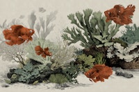 The Aquarium - Antique Paper wallpaper