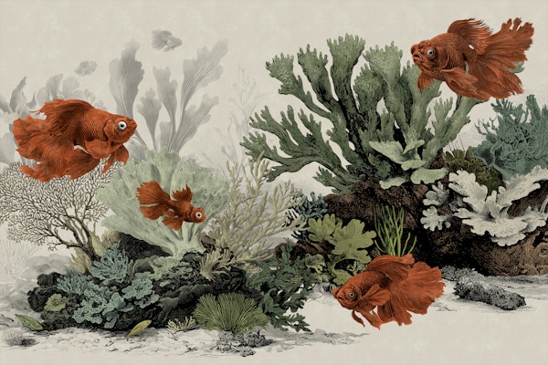 The Aquarium - Antique Paper