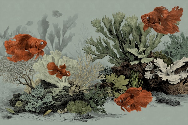 The Aquarium - Sea Foam