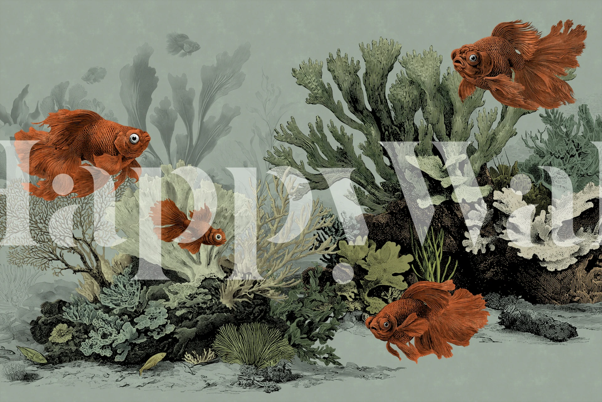Aquarium themed wallpaper with goldfish and corals