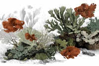 The Aquarium - Clean White wallpaper