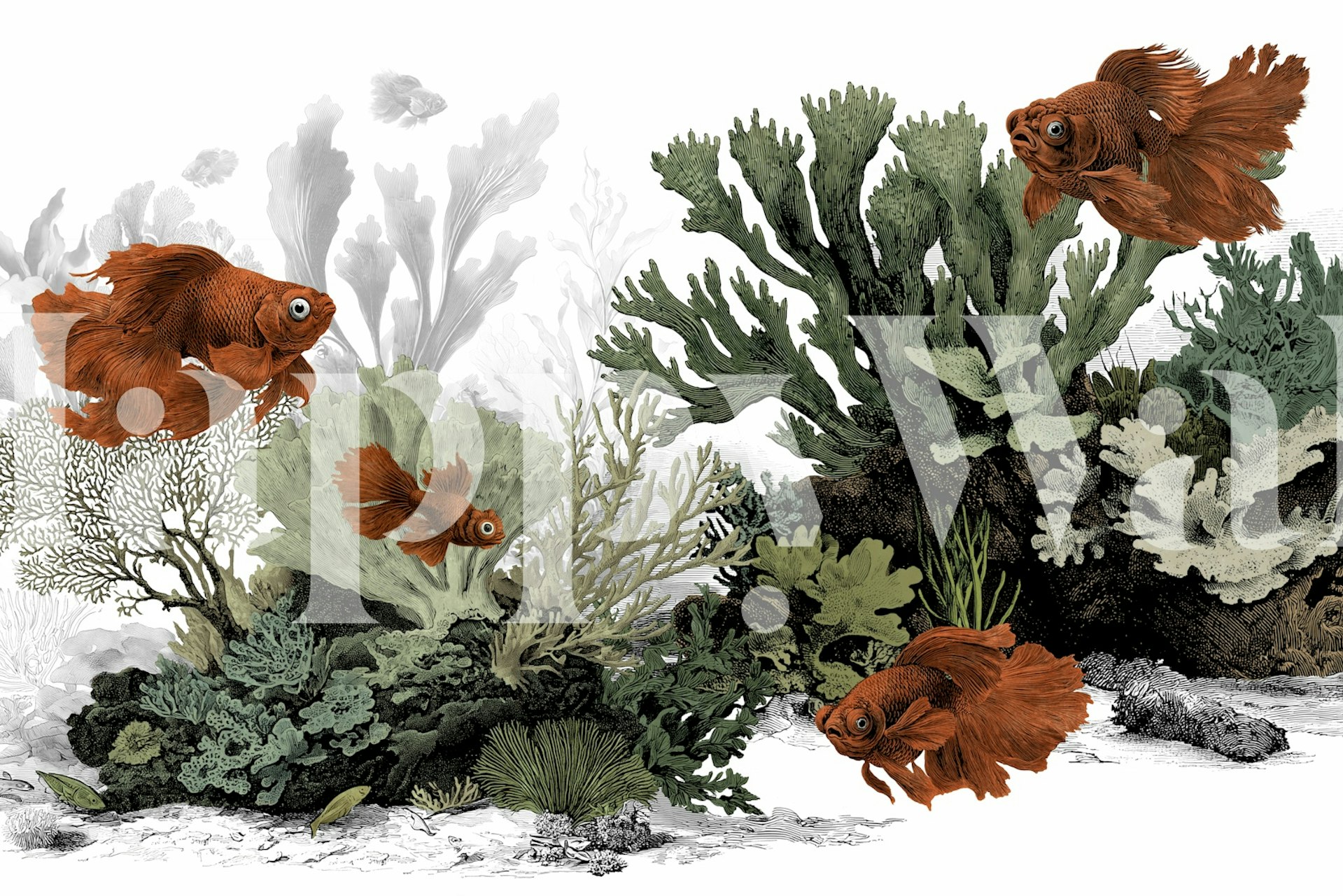 The Aquarium - Clean White wallpaper in a room