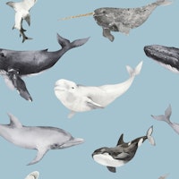 Ocean Wildlife Pattern S carta da parati