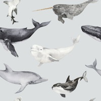 Whales & Dolphins Pattern S carta da parati