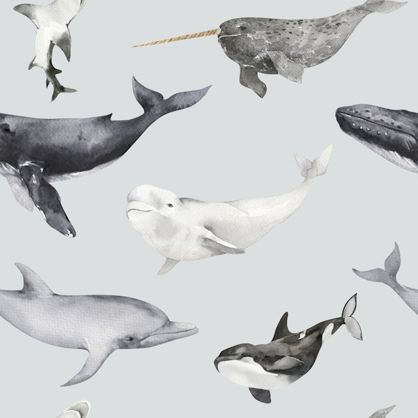 Whales & Dolphins Pattern S