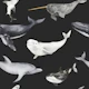Deep Sea Pattern S