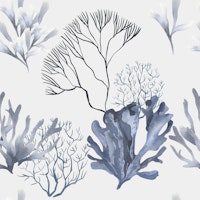 Coastal Reef Pattern S tapete