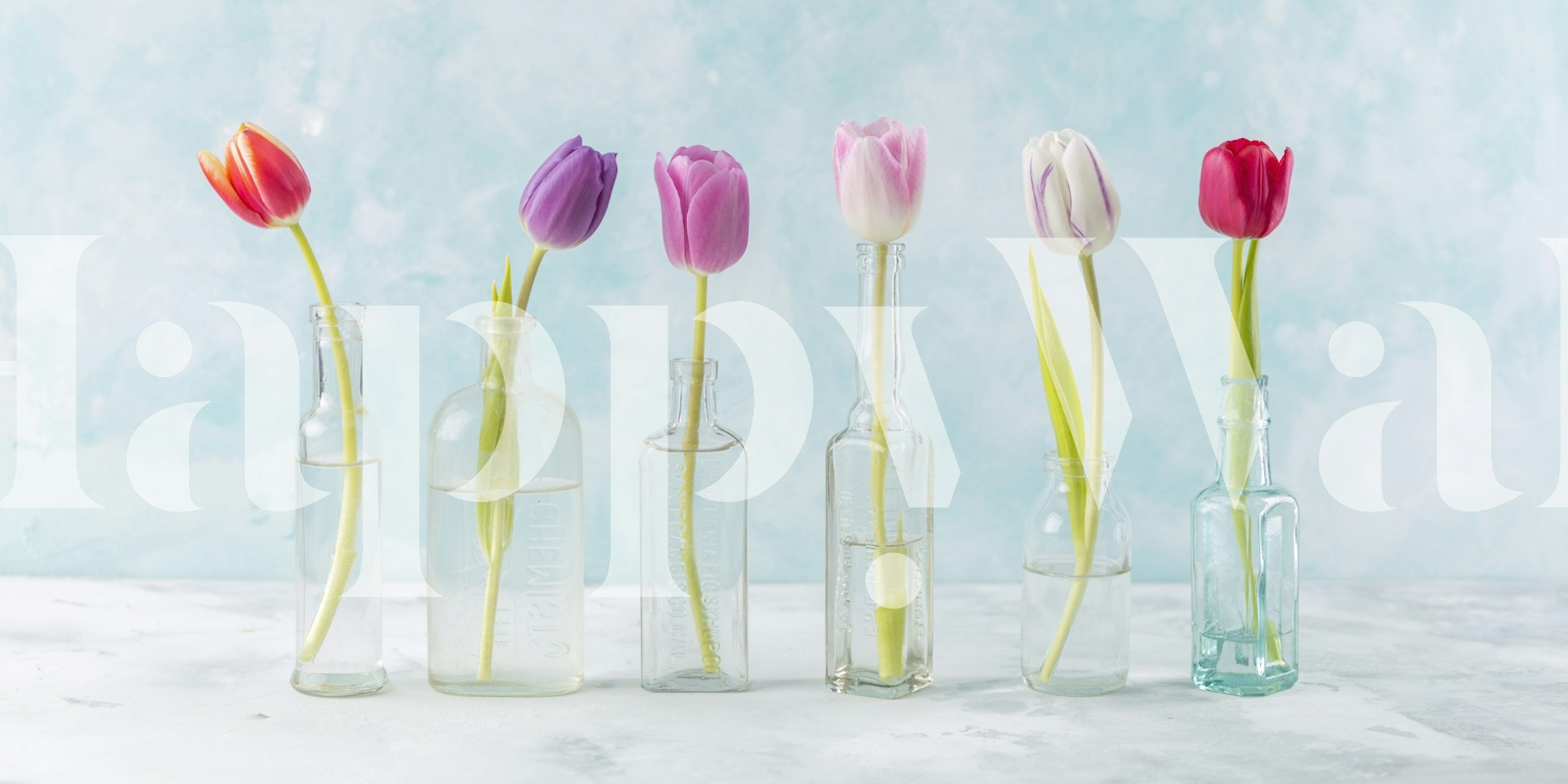 Spring tulips in clear vases wallpaper