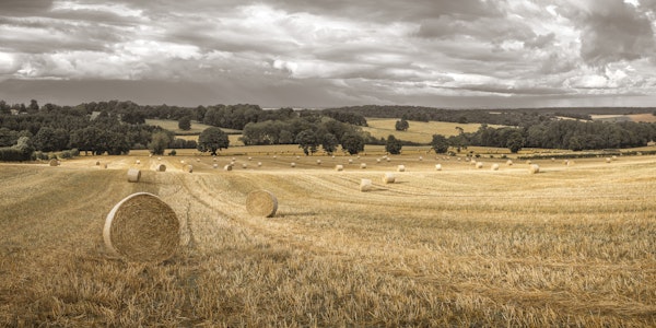 Haystack on Field