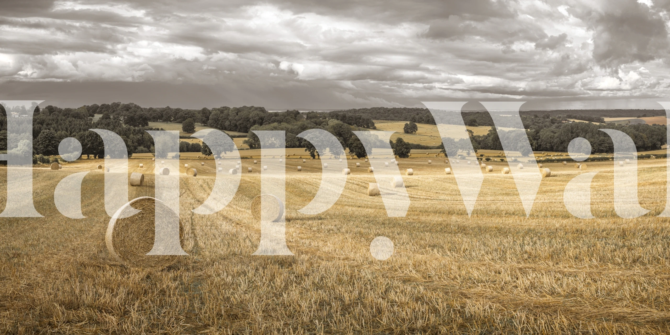 Haystack on field wallpaper in a cozy room
