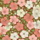 Bohemian Blooms in dusty pink