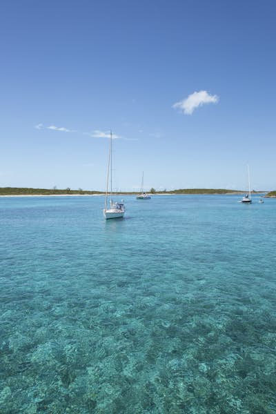 Τοιχογραφία