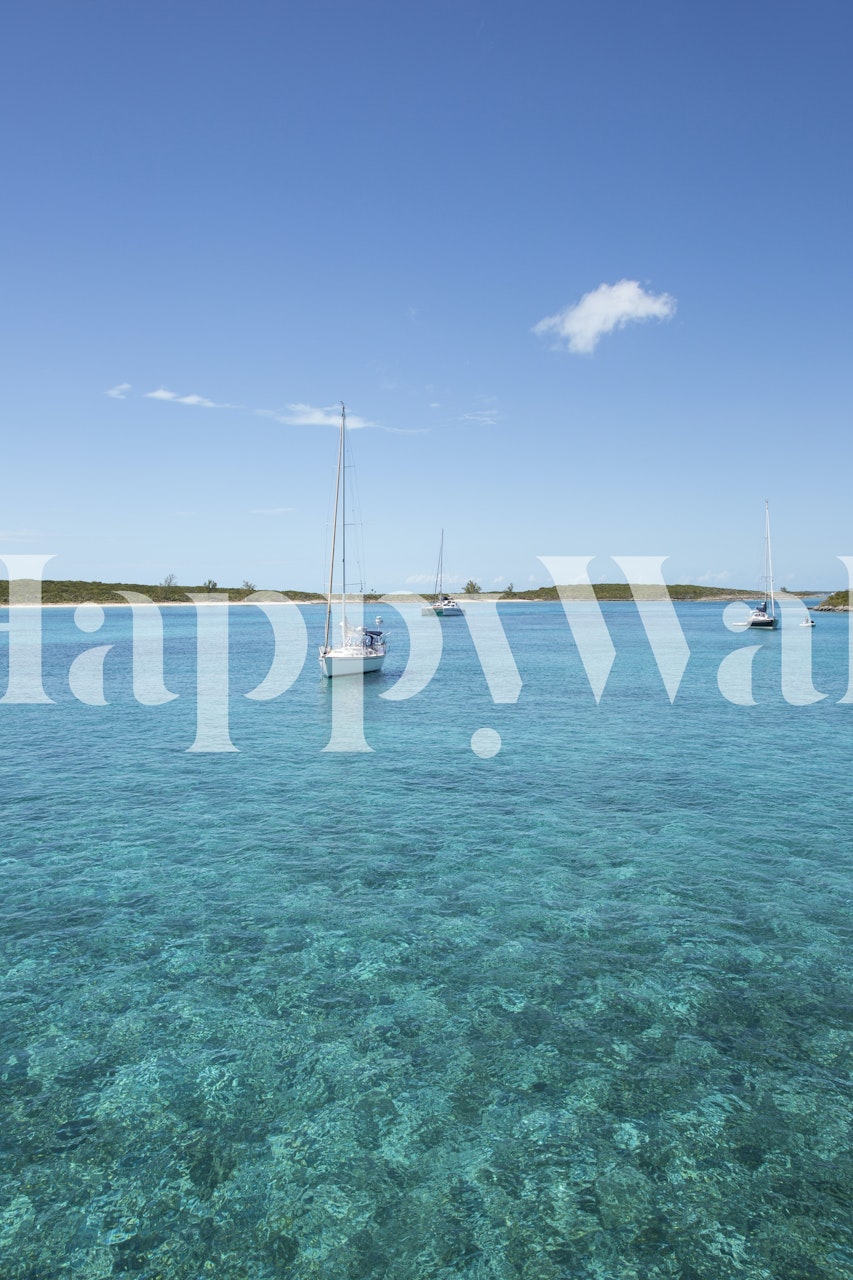 Sailing boats on clear blue water wallpaper