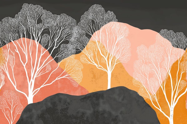 Abstract Forest Silhouettes with White Trees