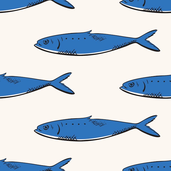 Blue Sardines Coastal Sketch