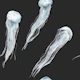 Deep Sea Jellyfish Pattern S