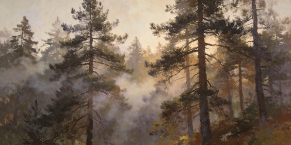 Peaceful Pine Forest