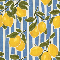 Mediterranean Lemons on Blue & White Stripes tapet