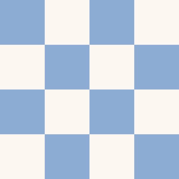 Classic Polo Blue and Off-White Checks
