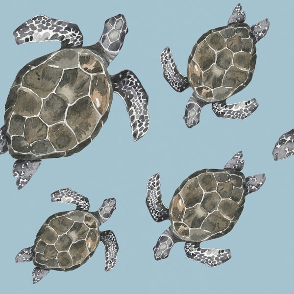 Sea Turtle Pattern S