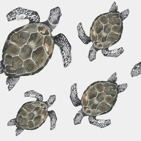 Swimming Turtles Pattern S