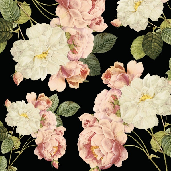 Flora temptation - night