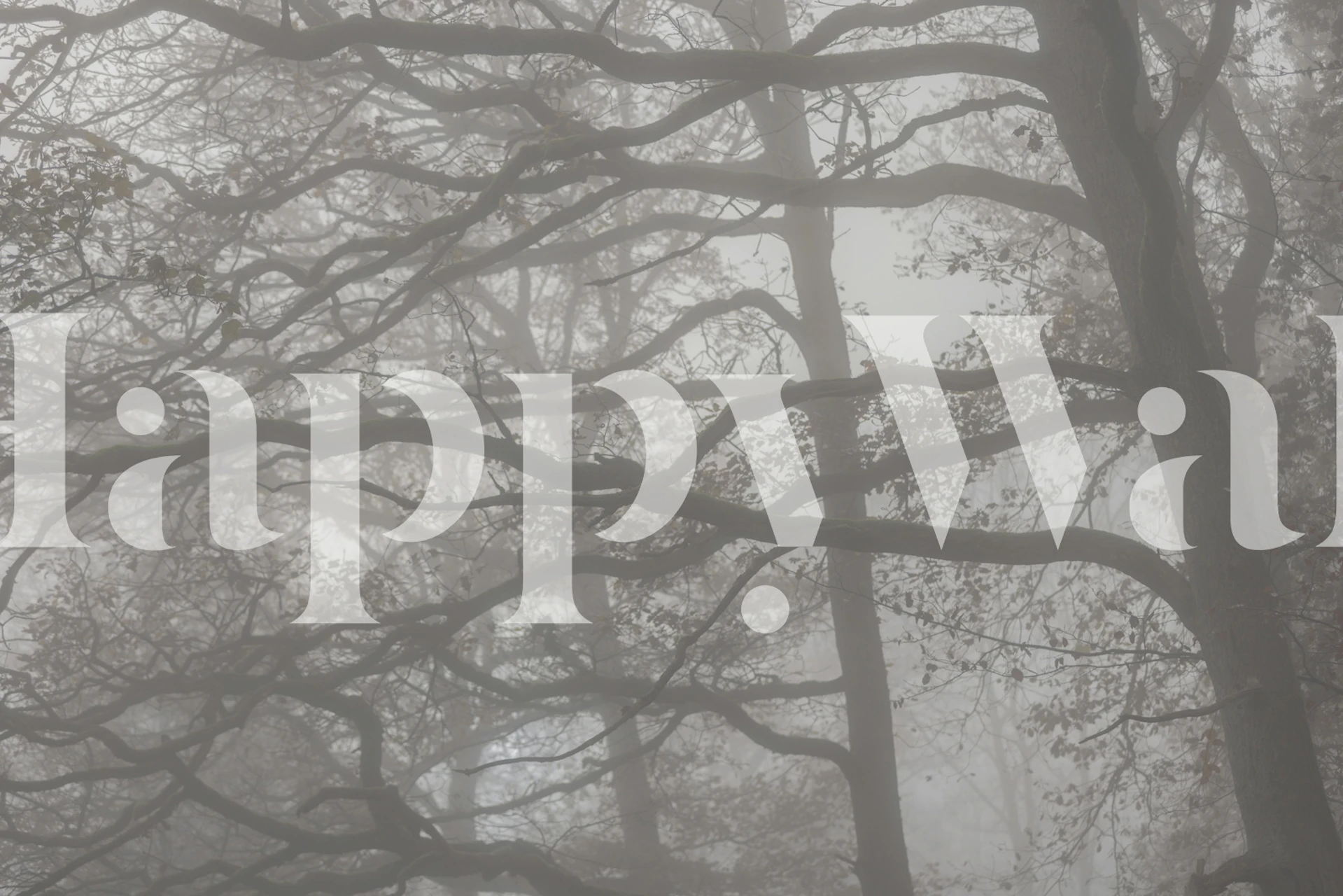 Misty Forest Branches behang in een kamer