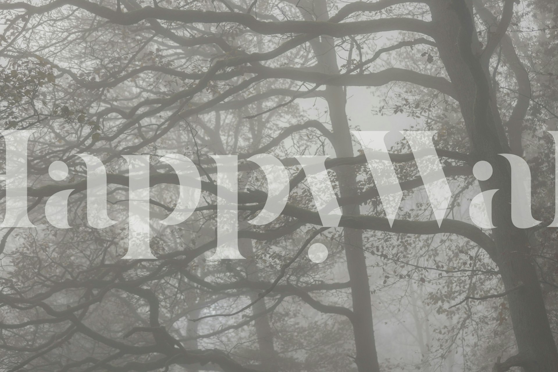 Misty forest branches wallpaper in a room