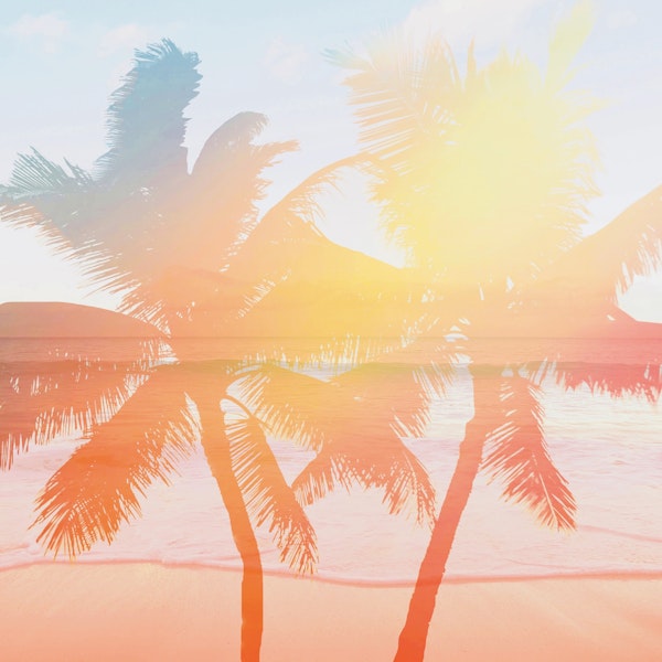 Tropicana seas - sundown