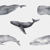 Whales of the Ocean Pattern M behang