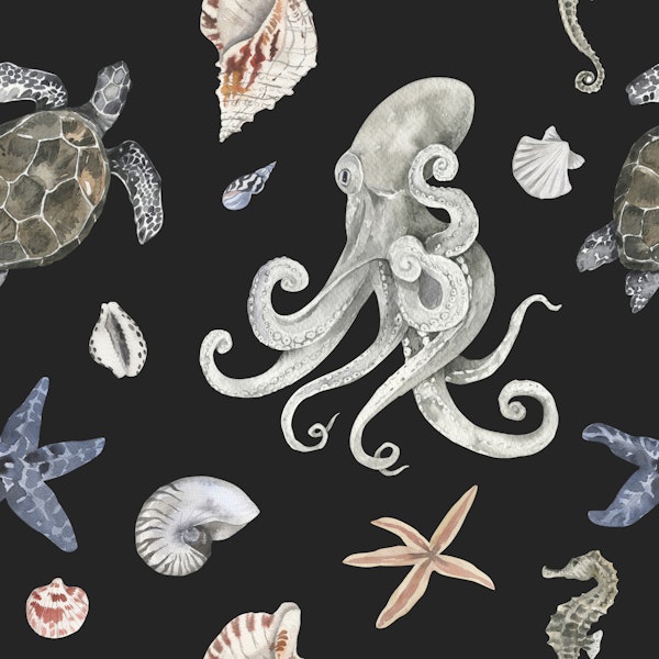 Marine Wildlife Pattern M