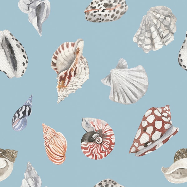 Nautical Shell Pattern M