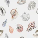 Coastal Shells Pattern M